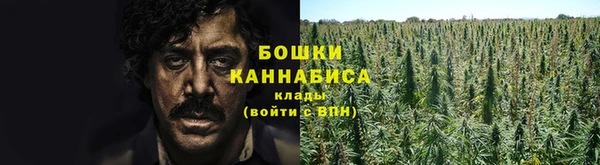бошки Лагань