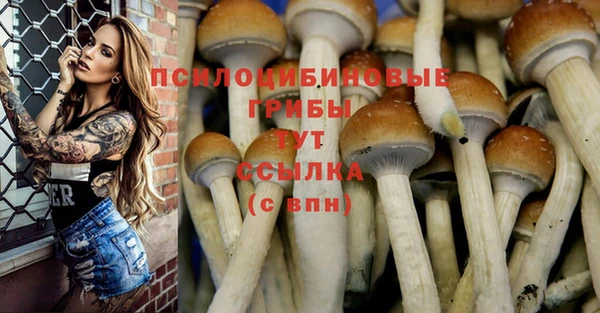бошки Лагань