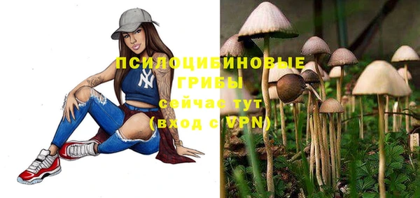 бошки Лагань