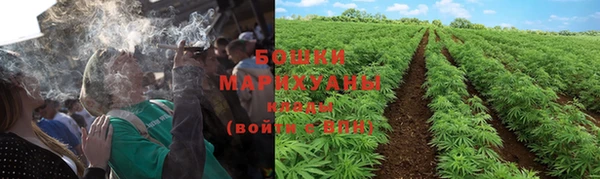 бошки Лагань