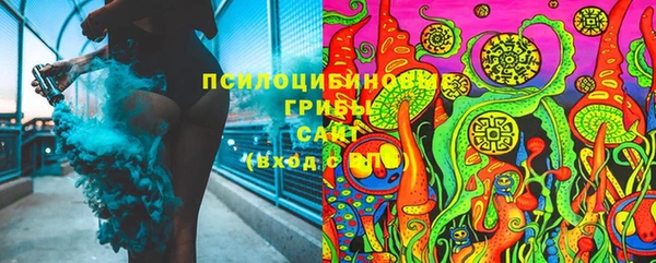 синтетический гашиш Ладушкин