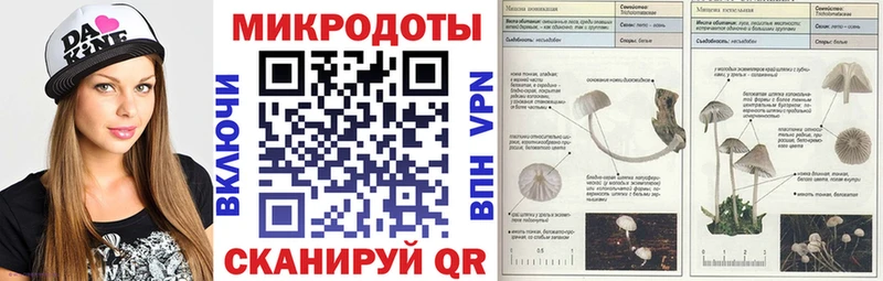 Купить  Междуреченск  Галлюциногенные грибы Psilocybine cubensis 